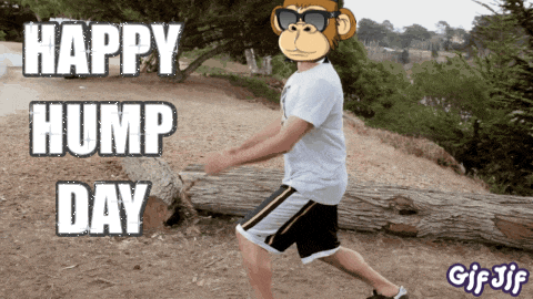 Money Minded Apes Moneymindedapes GIF