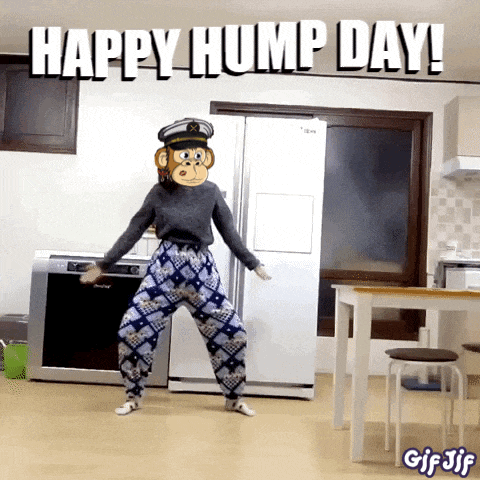 Money Minded Apes Moneymindedapes GIF