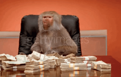 Money Monkey GIF