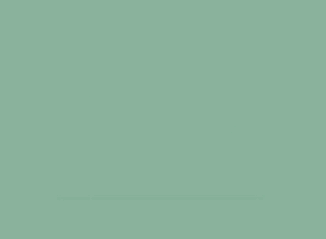 Money Plant Money Palnt Green GIF