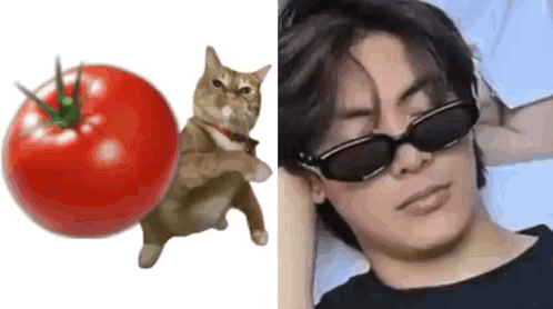 Mongers Tomato GIF