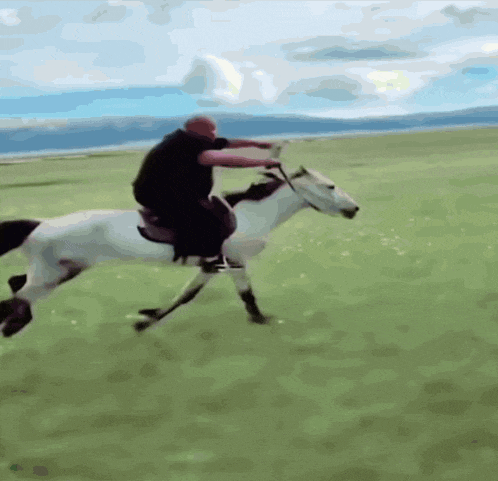 Mongolian Horse GIF