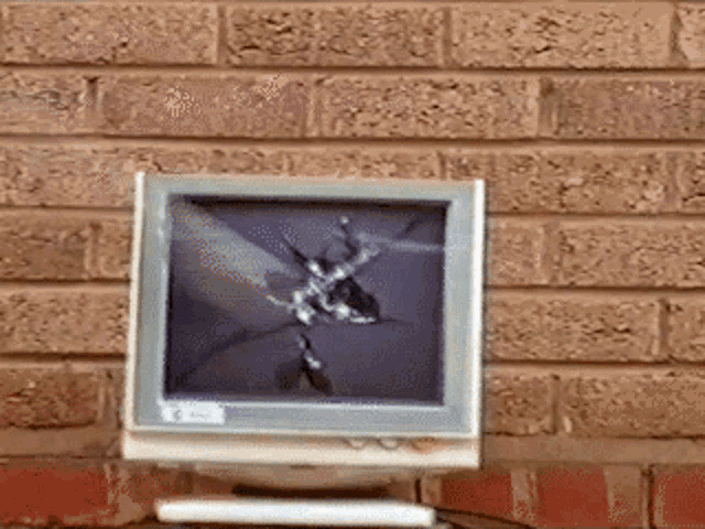 Monitor Smash GIF