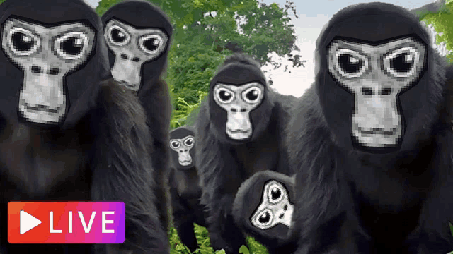 Monke Family Meme