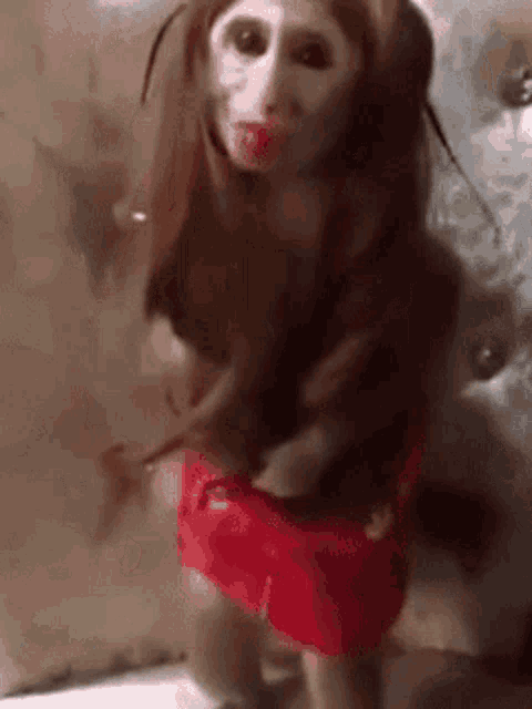 Monkey Amalazolanski GIF