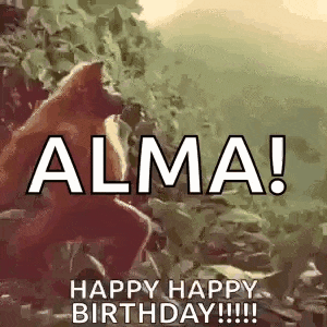 Monkey Ape GIF