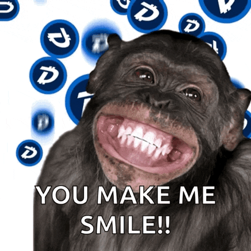 Monkey Ape GIF