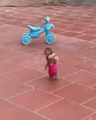 Monkey Baby Monkey GIF