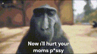 Monkey Bad GIF