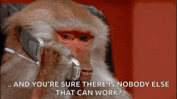 Monkey Business GIF