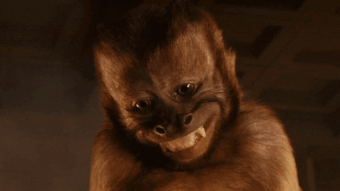 Monkey GIF