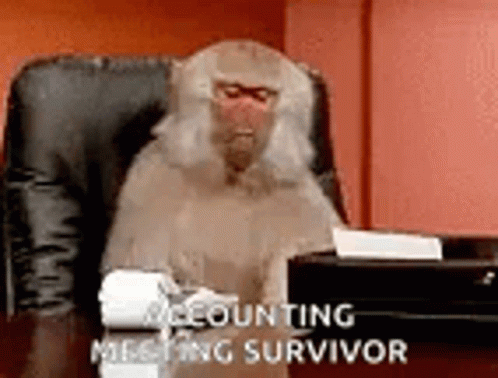 Monkey Calculate GIF. This 498 x 378 animated GIF is part of our contabilidad collection. Related themes include monkey, silly. Created by HollyNicole1…