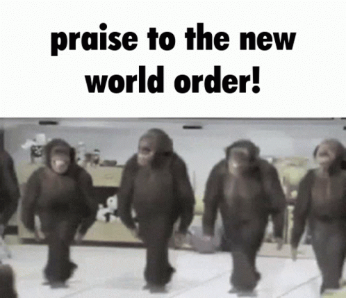 Monkey Cdrp GIF