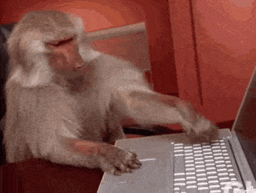 Monkey Computer GIF