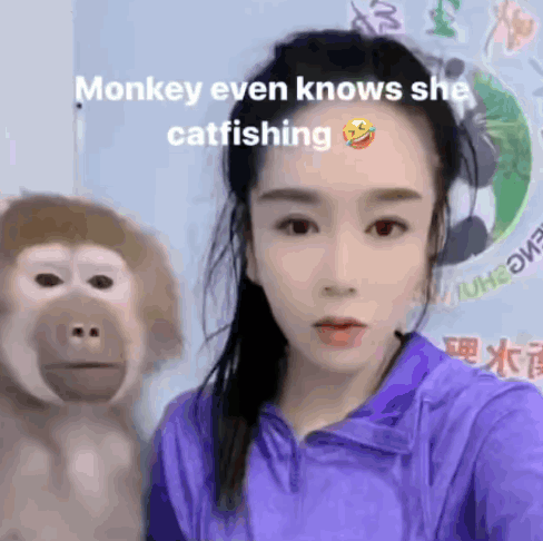Monkey Confused Monkey GIF