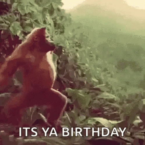 Monkey Dance GIF
