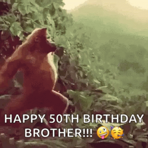 Monkey Dance GIF