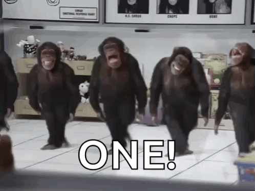Monkey Dancing Chimp GIF