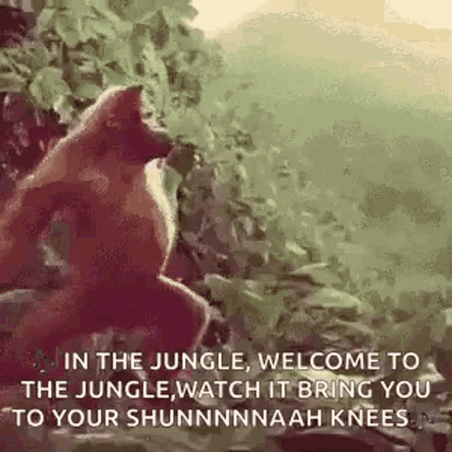 Monkey Dancing Monkey GIF