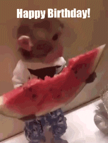 Monkey GIF