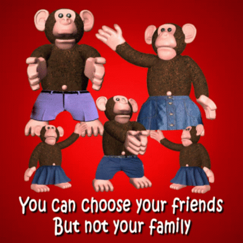 Monkey Family Monkey Troop GIF
