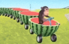Monkey Funny GIF