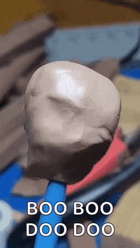 Monkey Funny GIF