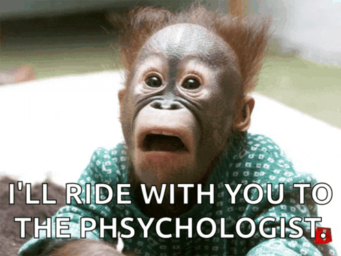 Monkey Images Meme