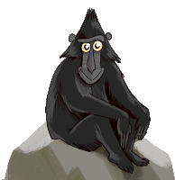 Monkey Macaque Sticker