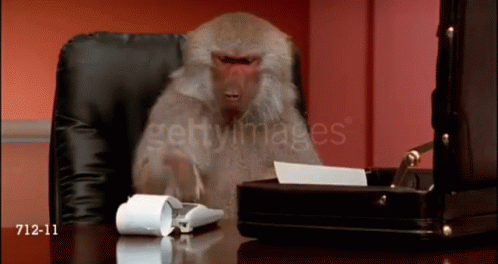 Monkey Math GIF. This 498 x 264 animated GIF is part of our contabilidad collection. Related themes include angry, mad, math. View the original animation…