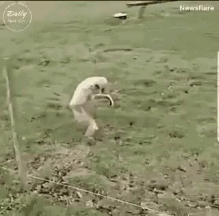 Monkey Me Sneaking GIF