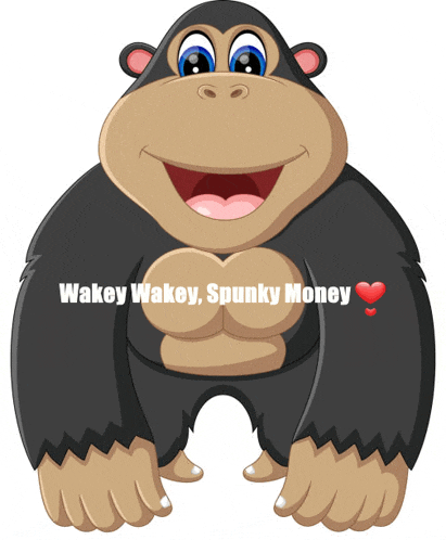Monkey Meme