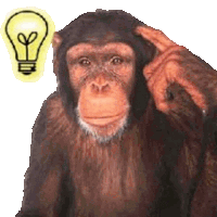 Monkey Meme Monkey Meme Sticker Sticker