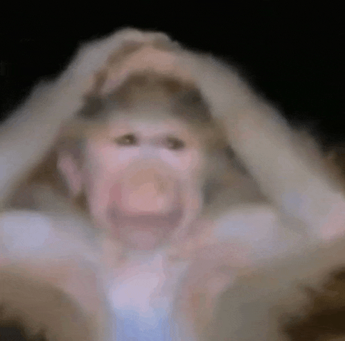 Monkey Mom Monkey Meme Meme