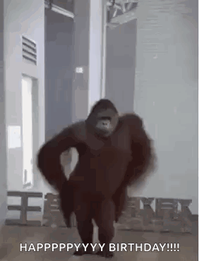 Monkey Monkey Dancing GIF