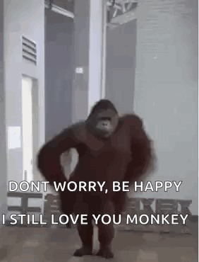 Monkey Monkey Dancing GIF