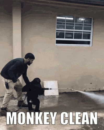 Monkey Monkey Gif GIF