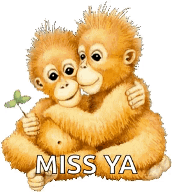 Monkey Monkeys GIF