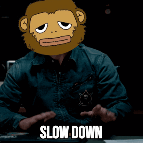 Monkey Monkeys GIF