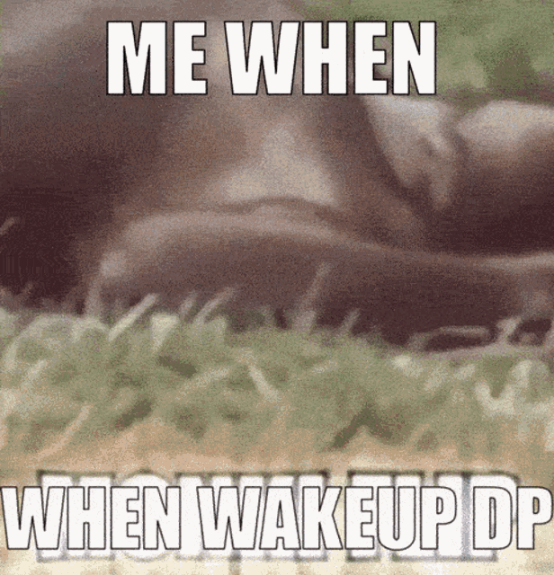 Monkey Monki Flip GIF