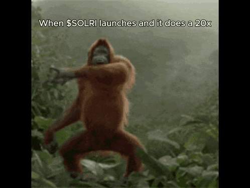 Monkey Planet Of The Apes GIF
