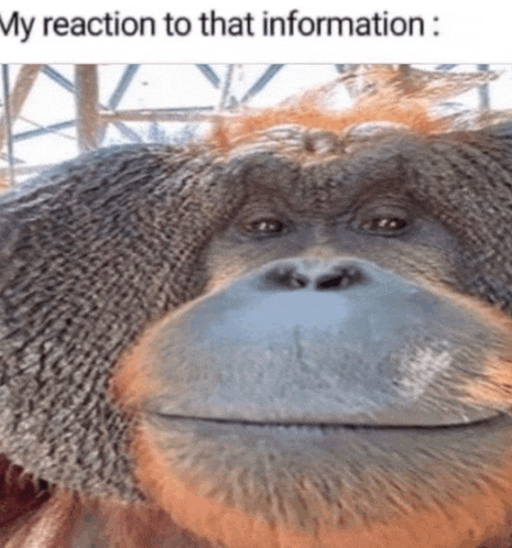Monkey Reaction Meme