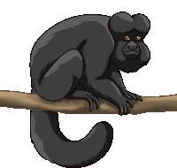 Monkey Saki Sticker