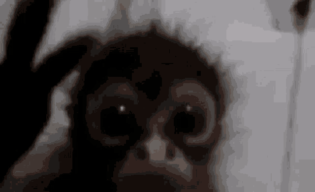 Monkey Scream GIF