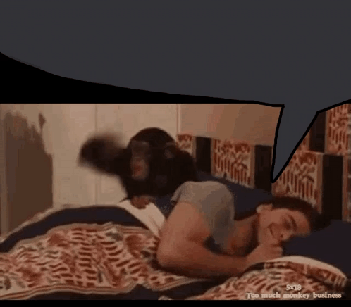 Monkey Slap GIF