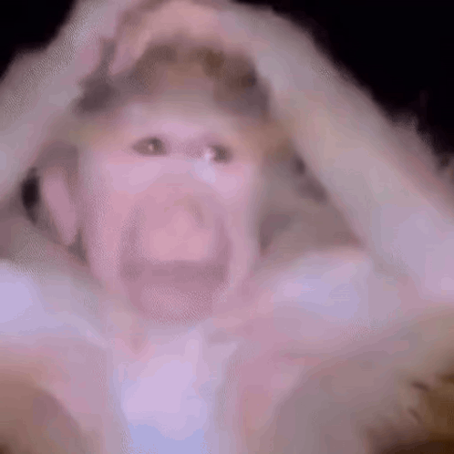 Monkey Thinking GIF