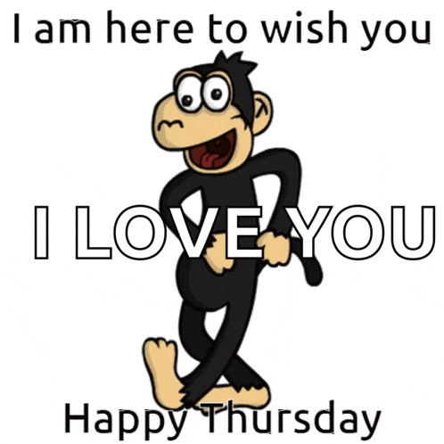 Monkey Thursday GIF