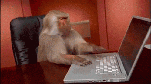 Monkey Working GIF. This 498 x 280 animated GIF is part of our crazy typing collection. Related themes include busy, monkey, typing. Created by zojonoko…