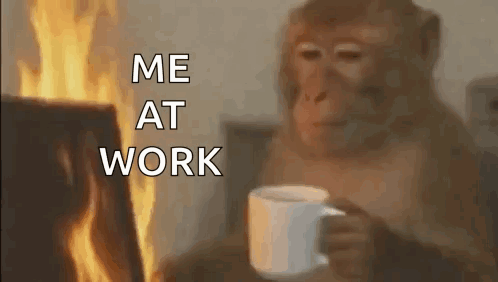 Monkey Working GIF