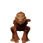 Monkey Sticker